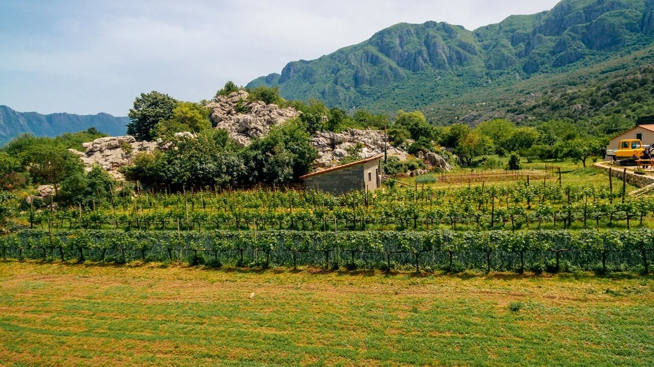 Апартаменты Apartments EcoNature Вирпазар