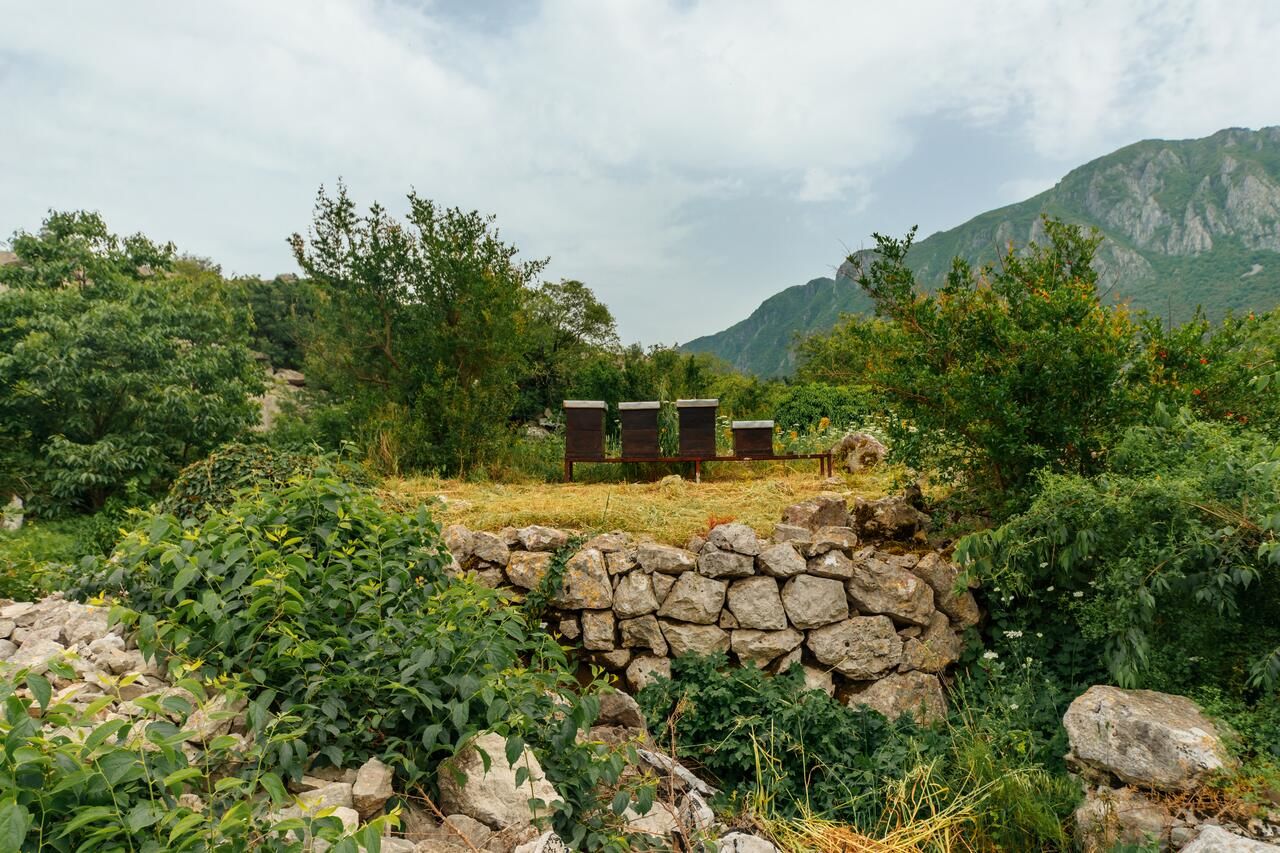 Апартаменты Apartments EcoNature Вирпазар