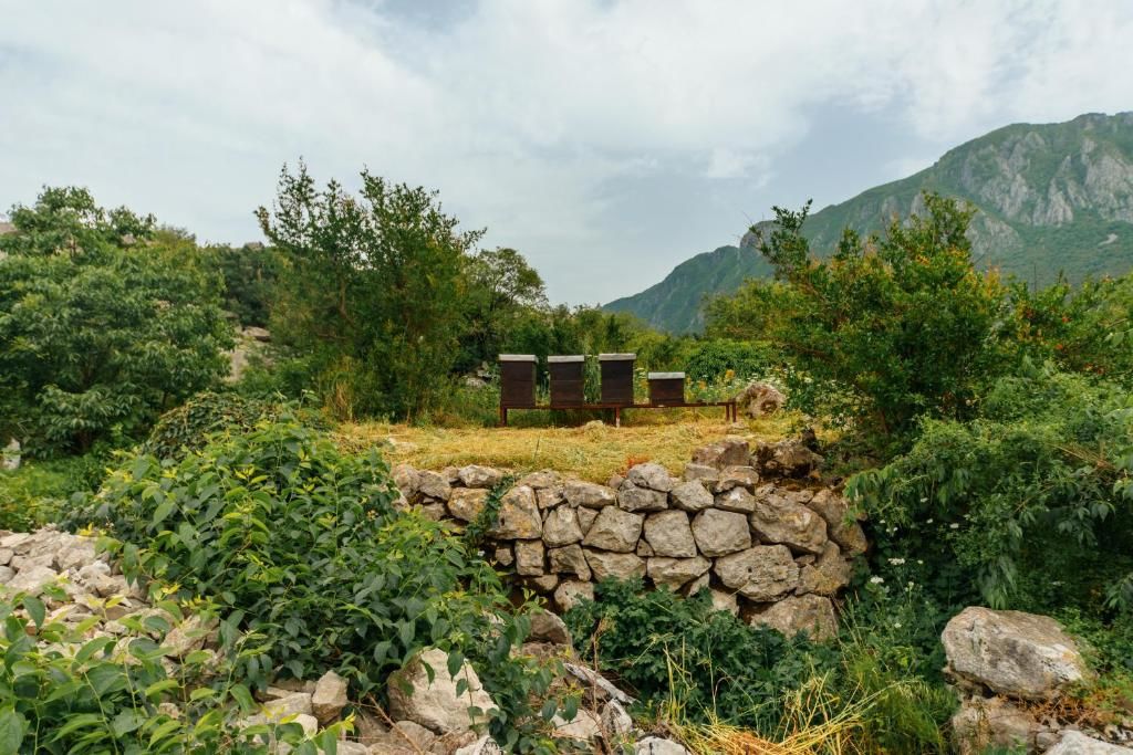 Апартаменты Apartments EcoNature Вирпазар