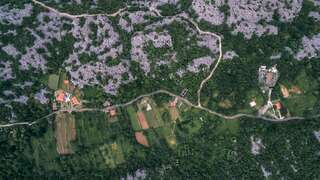 Апартаменты Apartments EcoNature Вирпазар Апартаменты с 1 спальней и террасой-13