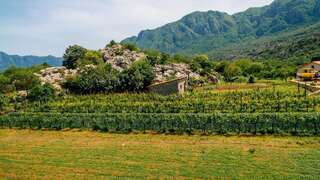 Апартаменты Apartments EcoNature Вирпазар Апартаменты с 1 спальней и террасой-17