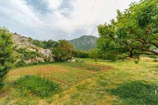 Апартаменты Apartments EcoNature Вирпазар Апартаменты с 1 спальней и террасой-27