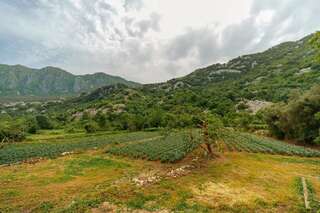 Апартаменты Apartments EcoNature Вирпазар Апартаменты с 1 спальней и террасой-28