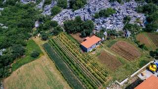 Апартаменты Apartments EcoNature Вирпазар Апартаменты с 1 спальней и террасой-29