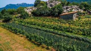 Апартаменты Apartments EcoNature Вирпазар Апартаменты с 1 спальней и террасой-30