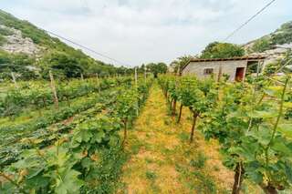 Апартаменты Apartments EcoNature Вирпазар Апартаменты с 1 спальней и террасой-73