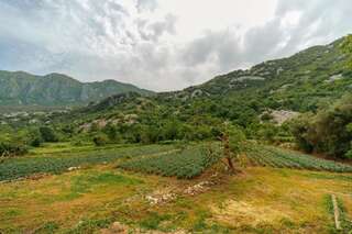 Апартаменты Apartments EcoNature Вирпазар Апартаменты с 1 спальней и террасой-78