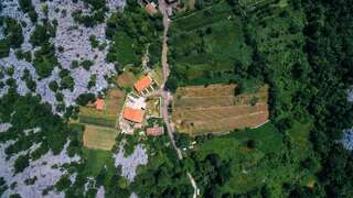 Апартаменты Apartments EcoNature Вирпазар Апартаменты с 1 спальней и террасой-85